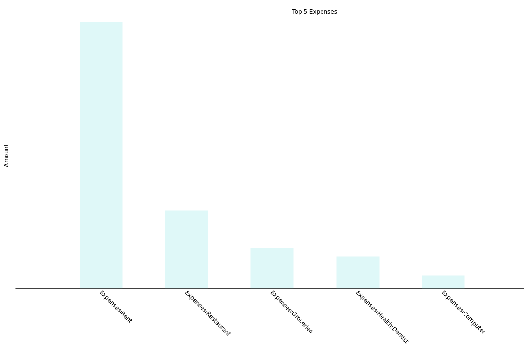 Top 5 Expenses