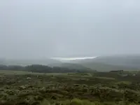 20240716_wicklow.webp